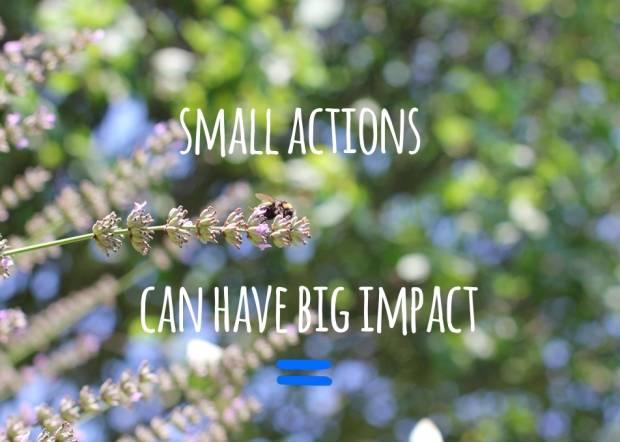 small-actions