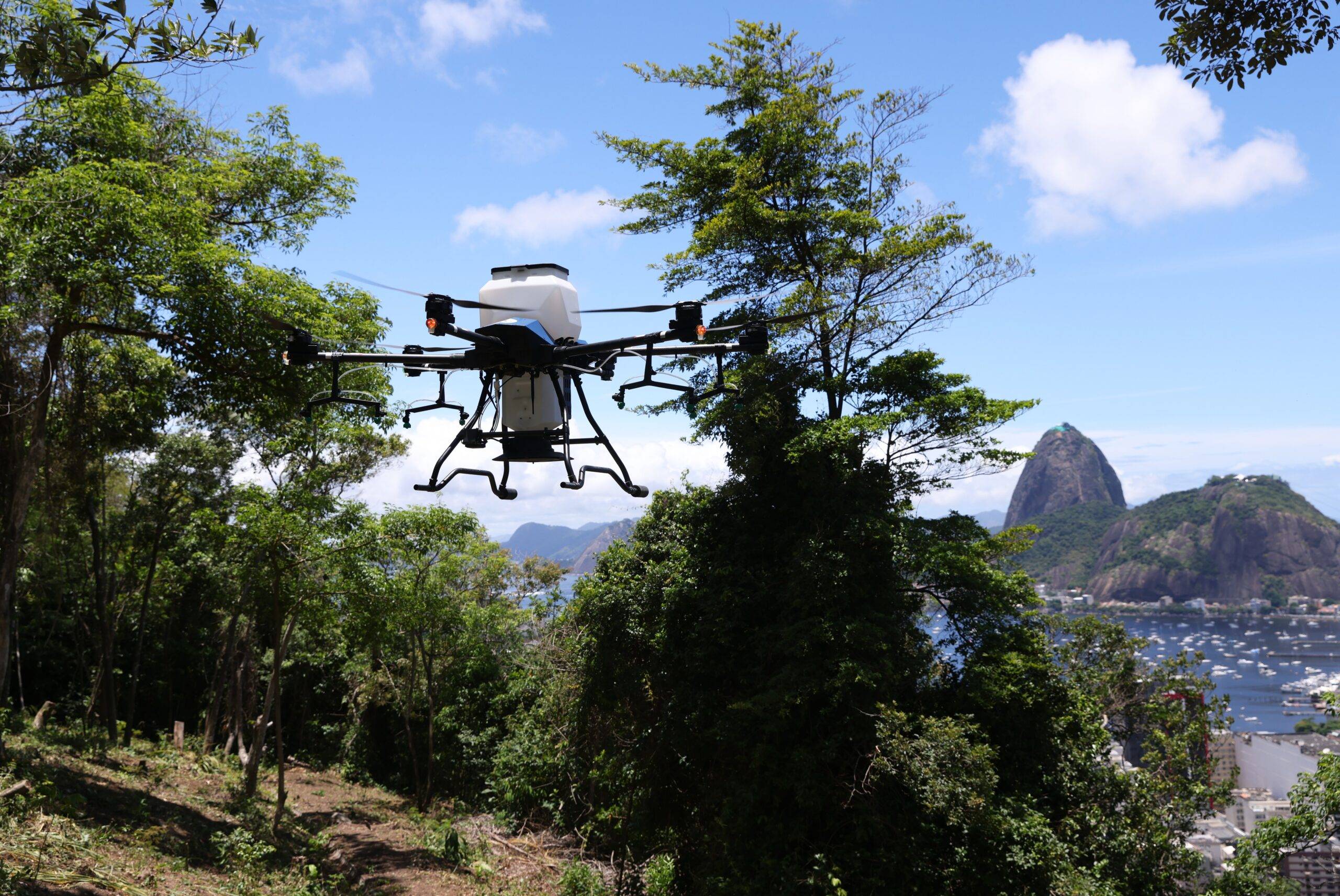 Morfo fait de la reforestation grâce aux drones.